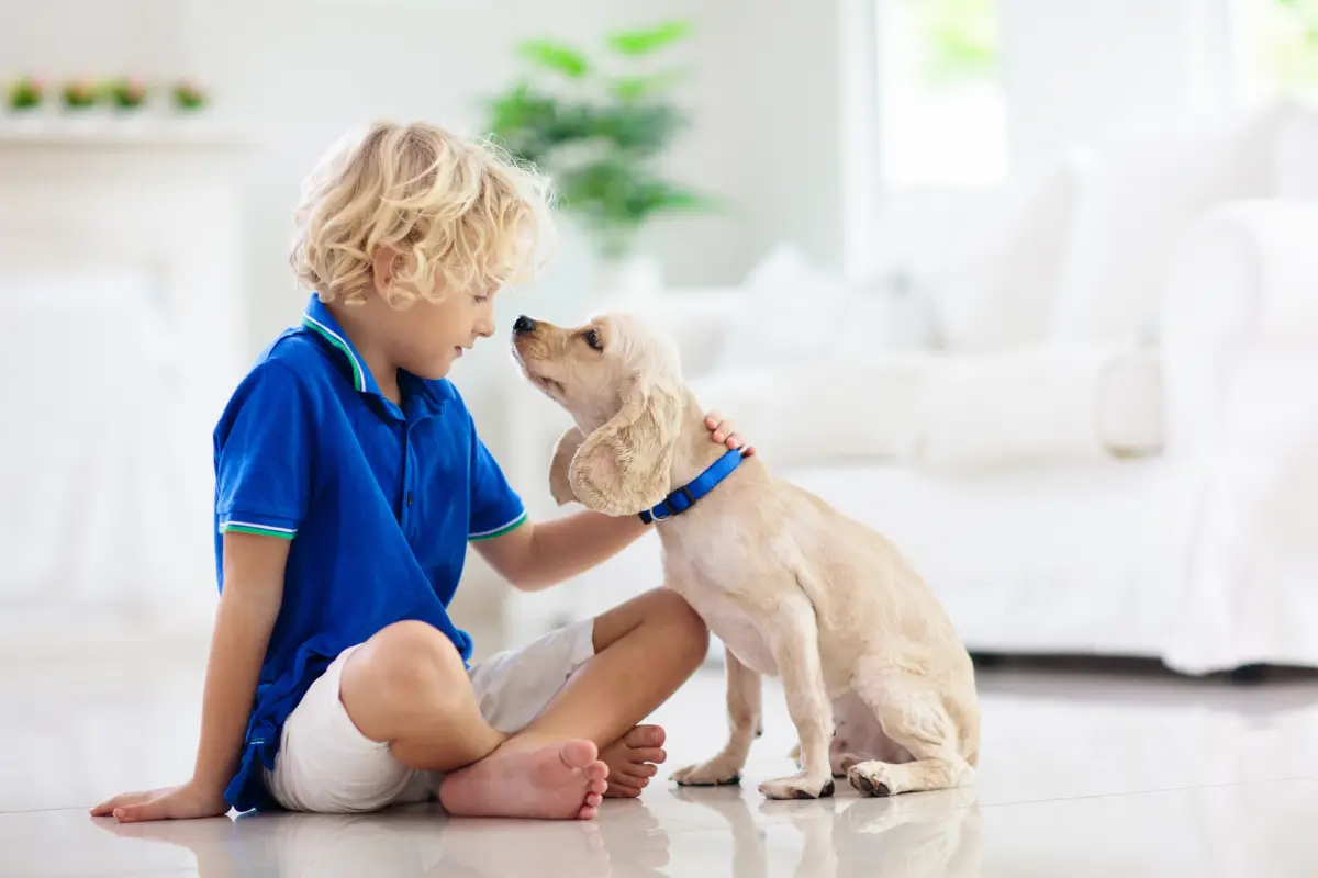 Pet-Proof and Profitable: How Centennial Landlords Can Benefit from Pet-Friendly Leasing